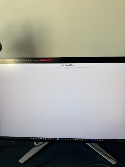 My monitor showing the nginx 403 Forbidden page instead of the dashboard